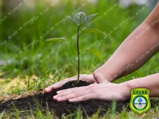 7 Manfaat Menanam Pohon bagi Kesehatan dan Lingkungan